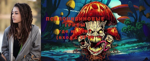хмурый Вязники