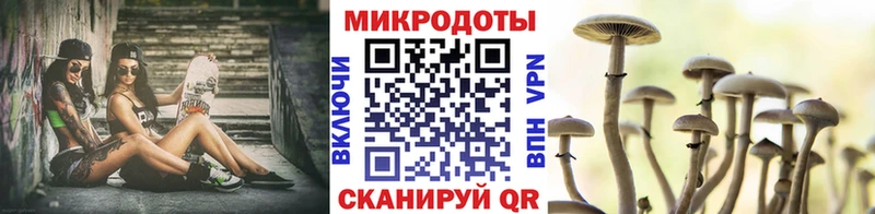 Купить где  Волосово  Псилоцибиновые грибы мицелий 
